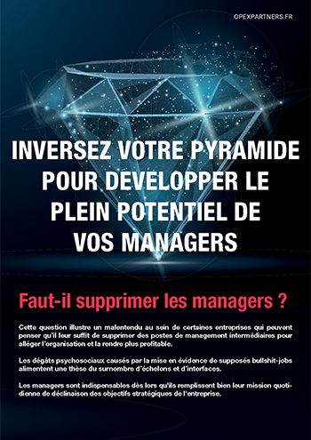 Inversez votre pyramide-OPEXPARTNERS